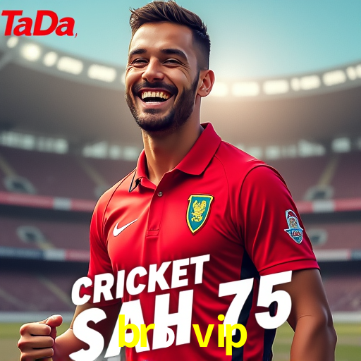 Security Systems br5 vip