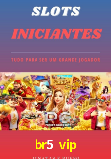 Premium Interface br5 vip