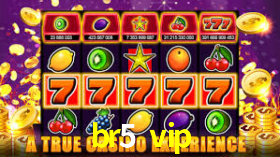 br5 vip App Interface