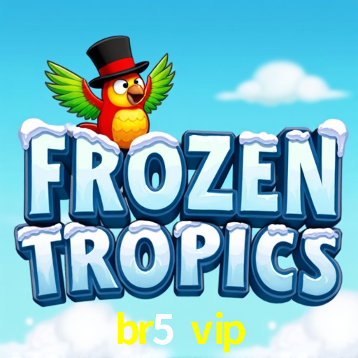 Experiência VIP br5 vip